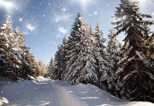 Winter Snow Cover Forest Photography Backdrop