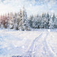 Winter White Snowflake Cover Forest Photography Backdrop for Wonderland