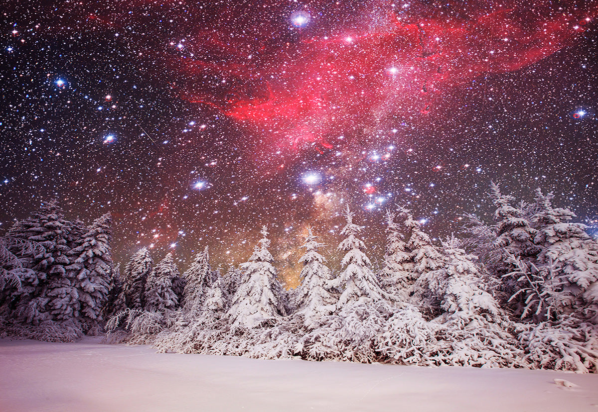 Night Light Star Forest Photography Backdrop Winter Background