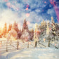 Sunlight Snowflake  Winter Photography Backdrop