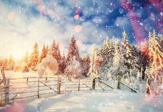 Sunlight Snowflake  Winter Photography Backdrop
