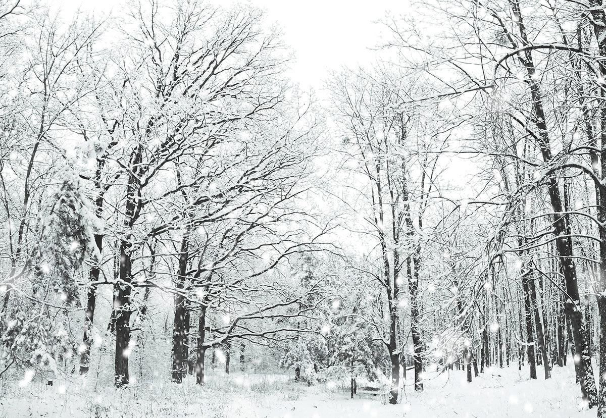 White Snowflake Forest Branches Winter Photography Backdrop