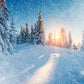 Snowing Forest Photography Backdrop Winter Background