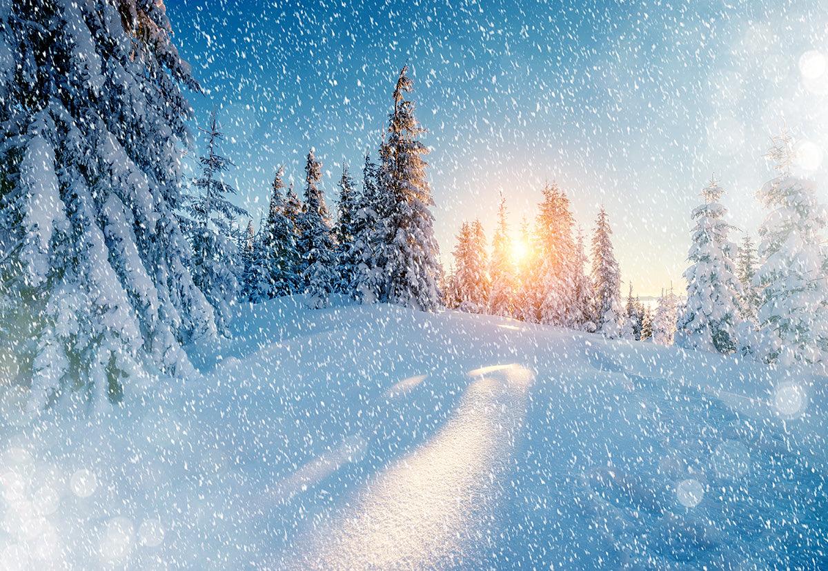 Snowing Forest Photography Backdrop Winter Background