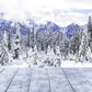 Winter White Snow Forest Wood Floor Photography Backdrop