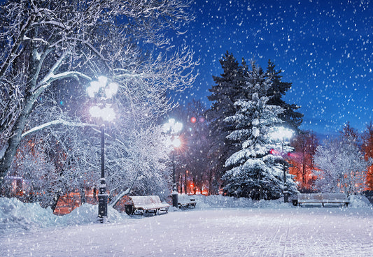 Winter Night Snowing Photography Backdrop