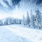 Winter White Snow Mountain Forest Backdrop For Photography