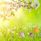 Spring Grass Flowers Green Easter Photo Booth Prop Backdrops