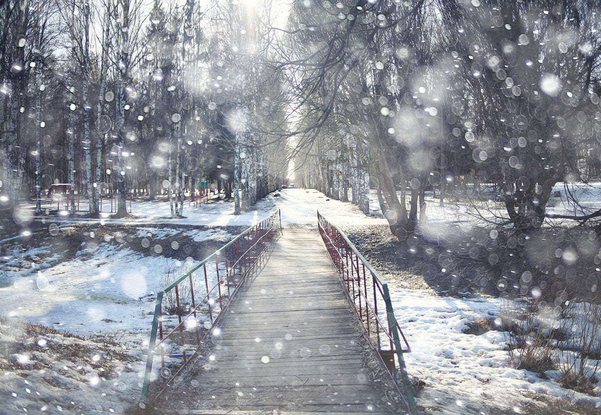 Snowing River Photography Backdrop Winter Background