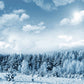 Winter Backdrops Cloud Winter Pine Snow Backdrops