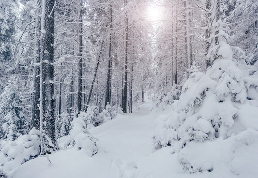Winter Snow Forest Backdrops for Photography Prop