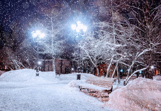 Winter Night Snowing Park Photography Backdrop