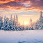 Winter Snowflake Snow Cover Forest Photo Backdrop