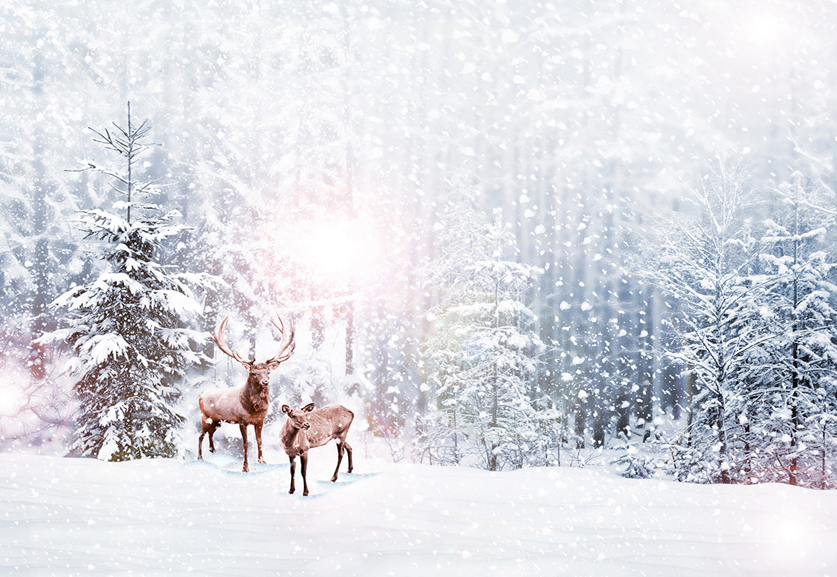 Winter Wonderland Snow Forest Elk Deer Photography Backdrop