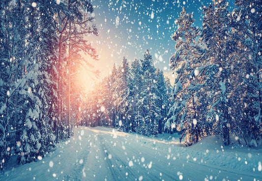 Winter Snow Wonderland Sunshine Forest Backdrop for Photos