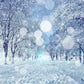 Winter White Snowing Road Photography Backdrop