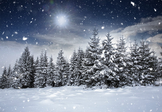 Winter Wonderland Snowing Pine Forest Photo Backdrop