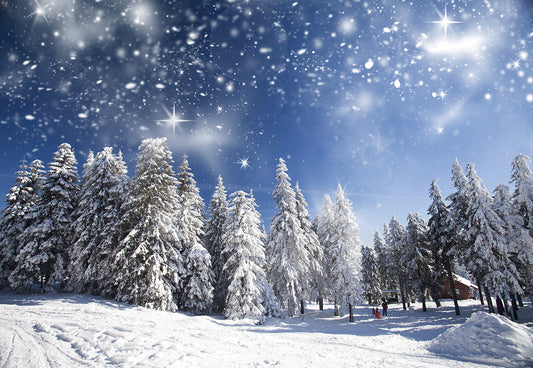 Winter White Snow Cover Forest Snowflake Photo Backdrop for Studio