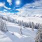 Wonderland Snow Winter Mountain Photography Backdrop
