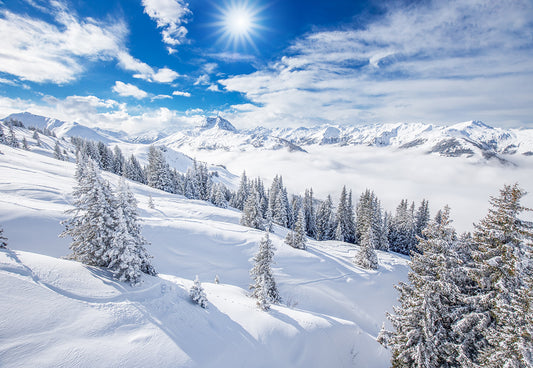 Wonderland Snow Winter Mountain Photography Backdrop