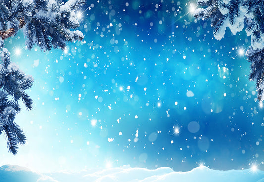 Winter Blue Snowflake Pine Branch Photography Backdrop