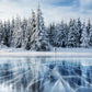 Winter Snow River Ice Wonderland Pine Forest Backdrops for Photos