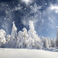 Snowflake Winter Forest Pine Backdrops for Photos