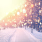 Glitter Snow Backdrop Winter Photo Background