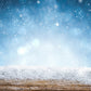 Winter Snowflake Wood Photography Backdrop
