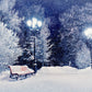 Night Winter Snow Cover Photography Backdrop