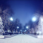 Winter Snow Decor Photography Backdrop