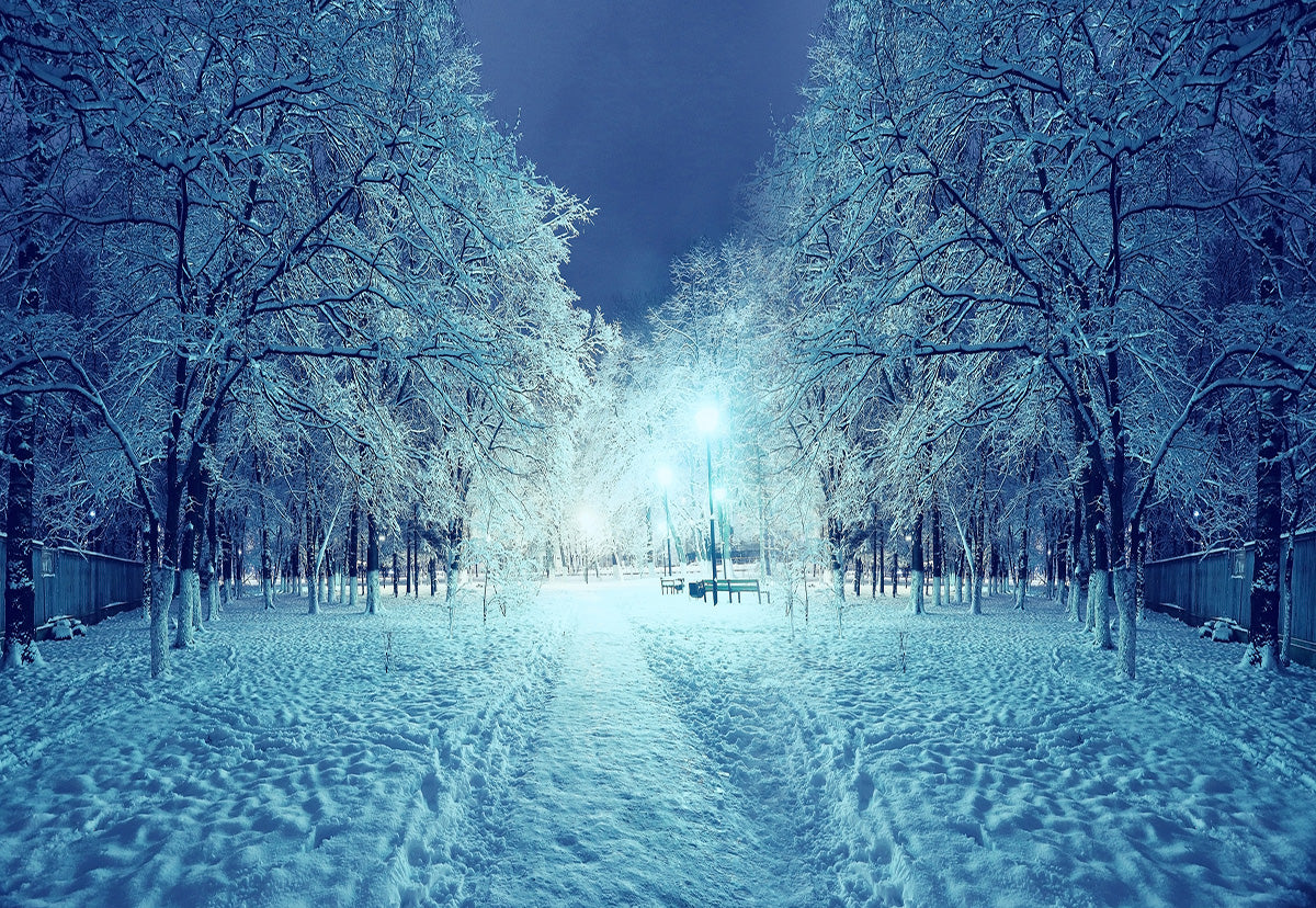 Night Snow Cover Winter Fabric Photography Backdrop