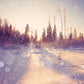 Snowing Forest Winter Photography Backdrop