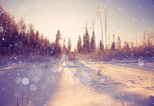 Snowing Forest Winter Photography Backdrop