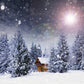 Winter Snow Sunlight Forest Houses Photography Backdrop