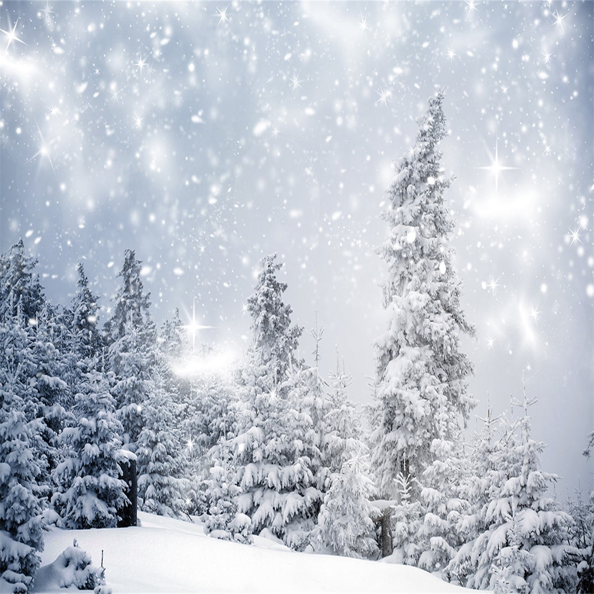 Winter Snow Forest Photography Backdrops