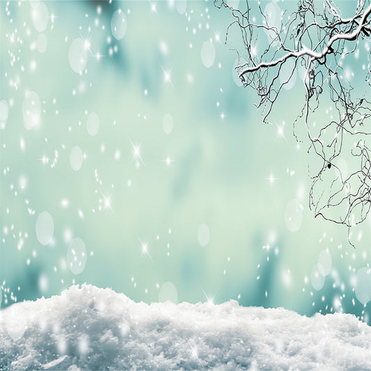 Bokeh Photo Backdrops for Photography Snow Background