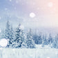 Snow Winter Forest Backdrops for Photography