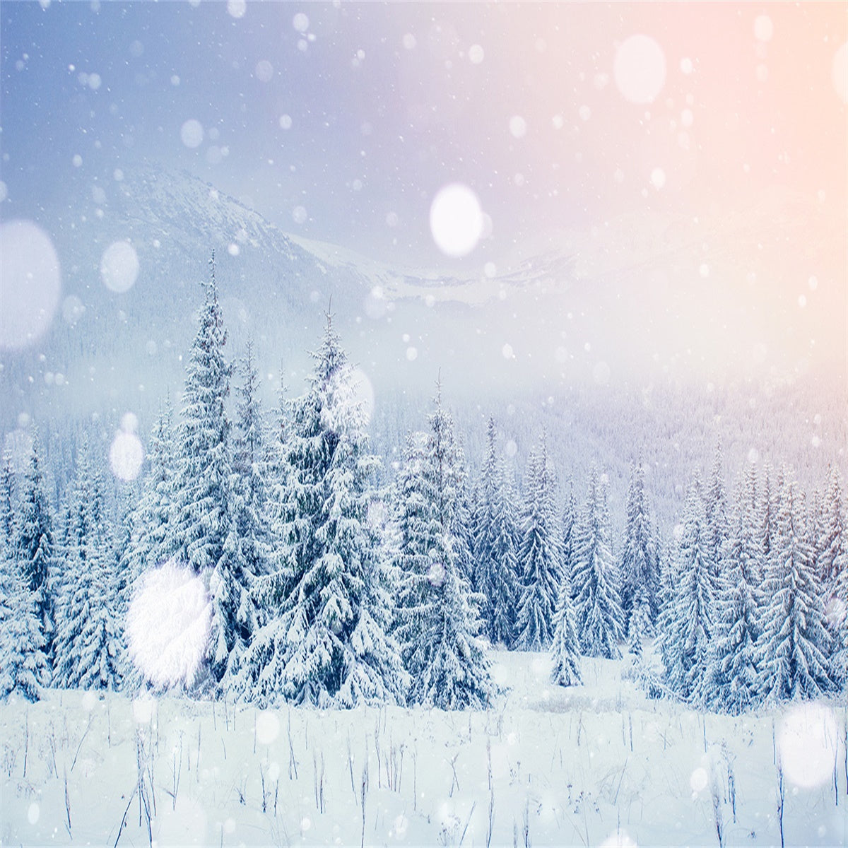 Snow Winter Forest Backdrops for Photography