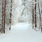 Winter Snow Photo Backdrops for Studio