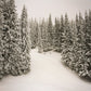Winter Photography Backdrops for Photography