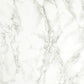 Light Green Texture Ivory Marble Photo Booth Prop Backdrop