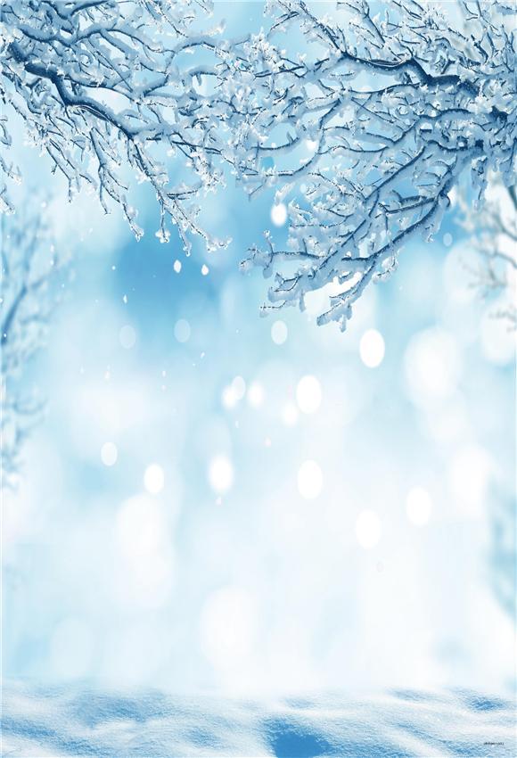Blue Winter Snow Branches Backdrops