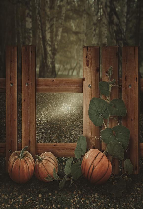Fall Wood Fence Pumpkin Photo Backdrops for Studio