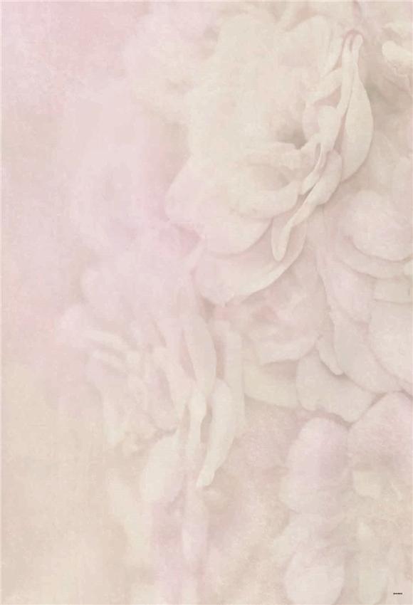 Pink Flowers Wedding Backdrops for Photo