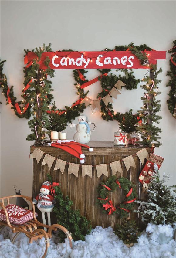 Candy Canes Christmas Photo Backdrop