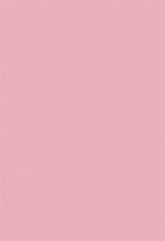 Pink Solid Princess Photography Backdrops for Studio