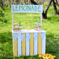 Lemonade Spring Photography Backdrops for Photos