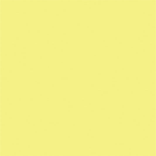 Bright Yellow Solid Color Photography Backdrops