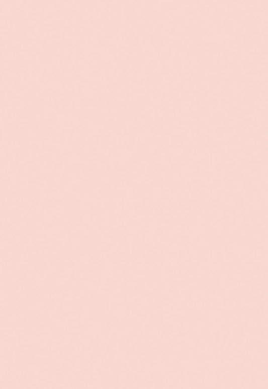 Pink Solid Photo Background for Party